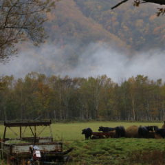 秋の牧場風景